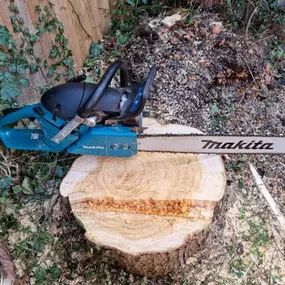 Bild von Henry's Horticulture - ARB