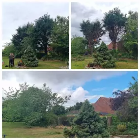 Bild von Henry's Horticulture - ARB