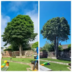 Bild von Henry's Horticulture - ARB