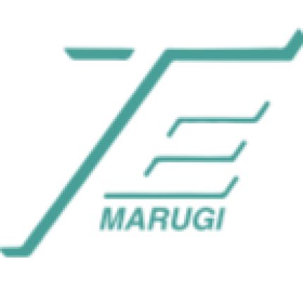 Logotipo de Tecno Edil Marugi Sas