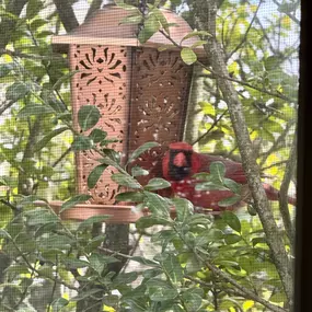 Bild von Justine Golden, Psy.D.