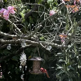 Bild von Justine Golden, Psy.D.