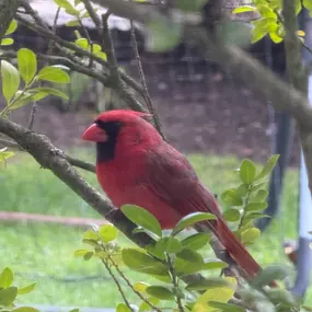 Bild von Justine Golden, Psy.D.