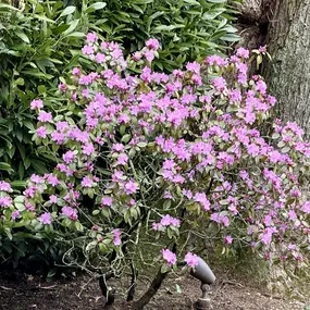 Bild von Justine Golden, Psy.D.