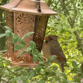 Bild von Justine Golden, Psy.D.