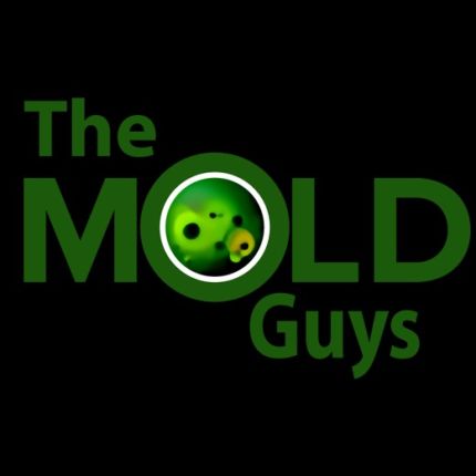 Logotyp från The Mold Guys