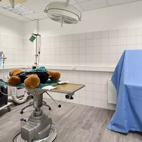 Bild von Medivet Tierarztpraxis Münster