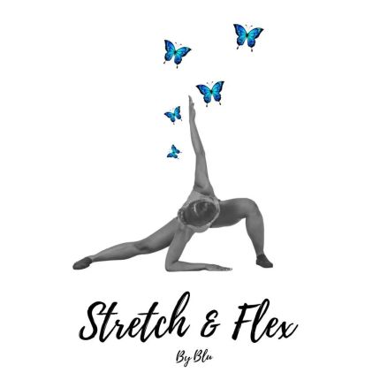 Logo da Stretch and Flex