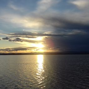 Bild von Natura Albufera