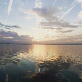 Bild von Natura Albufera