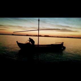 Bild von Natura Albufera