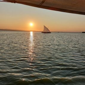 Bild von Natura Albufera