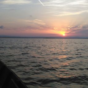 Bild von Natura Albufera