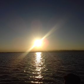 Bild von Natura Albufera