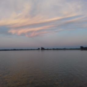 Bild von Natura Albufera