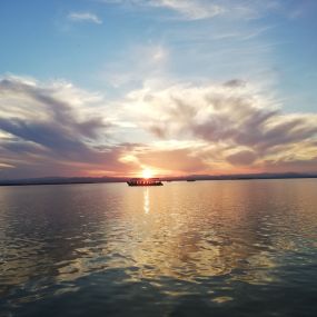 Bild von Natura Albufera