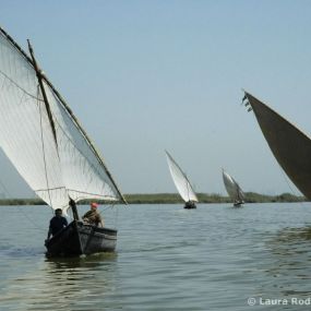 Bild von Natura Albufera