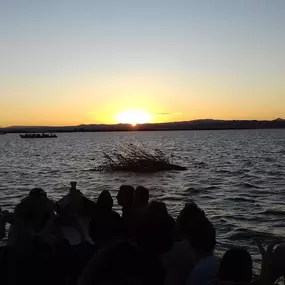 Bild von Natura Albufera