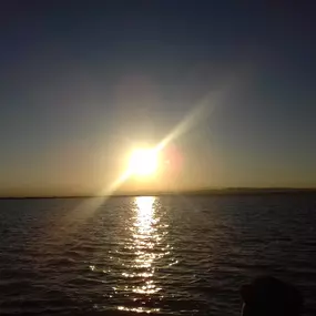 Bild von Natura Albufera