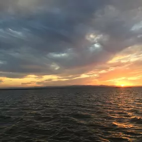 Bild von Natura Albufera