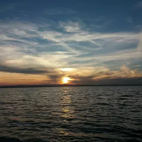 Bild von Natura Albufera