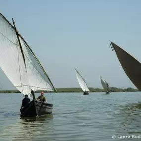 Bild von Natura Albufera