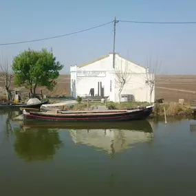 Bild von Natura Albufera