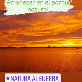 Bild von Natura Albufera