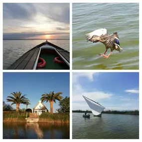 Bild von Natura Albufera