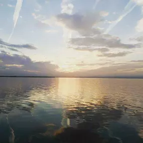 Bild von Natura Albufera