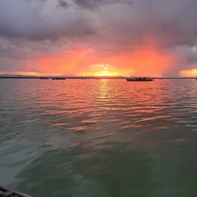 Bild von Natura Albufera