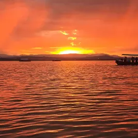 Bild von Natura Albufera