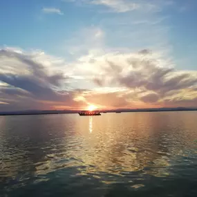 Bild von Natura Albufera