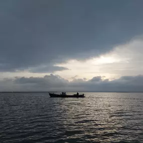 Bild von Natura Albufera