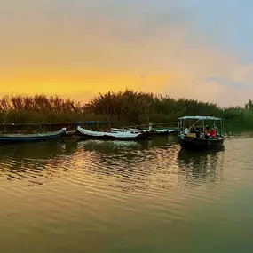 Bild von Natura Albufera