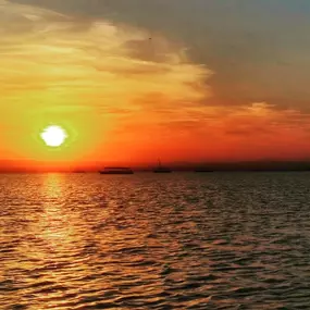 Bild von Natura Albufera