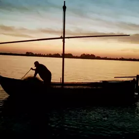 Bild von Natura Albufera