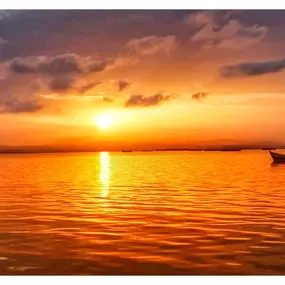 Bild von Natura Albufera