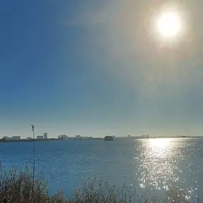 Bild von Natura Albufera