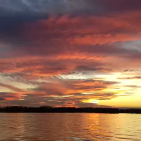 Bild von Natura Albufera