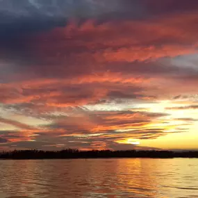 Bild von Natura Albufera