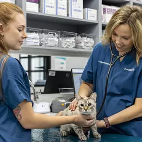 Bild von Livewell Animal Hospital of Elizabeth