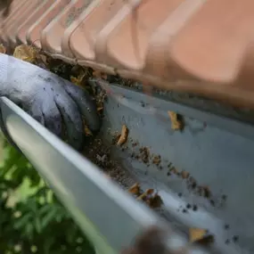 Gutter Cleaning Apollo Beach