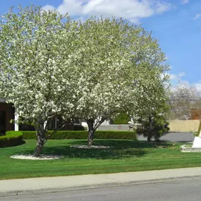 Store front & Sign for Michelotti-Sawyers
1001 Alderson Ave
Billings, MT 59102