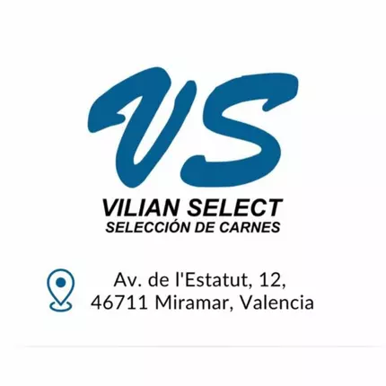 Logo od VILIAN SELECT SL.