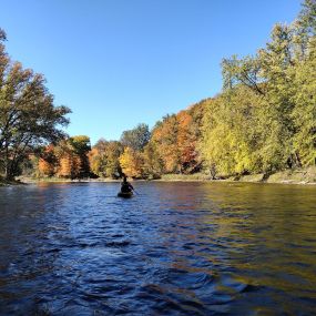 Bild von Sumpter Kayak Rentals