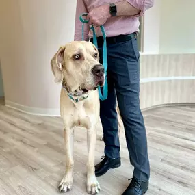 Bild von Petfolk Veterinary & Urgent Care - Southlake