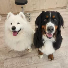 Bild von Petfolk Veterinary & Urgent Care - Southlake