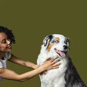 Bild von Petfolk Veterinary & Urgent Care - Southlake