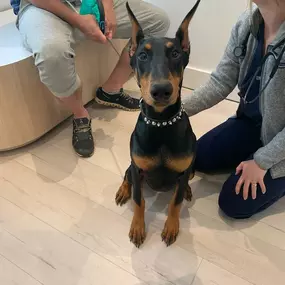 Bild von Petfolk Veterinary & Urgent Care - Southlake